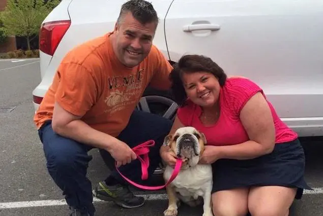 A man and woman holding a dog with pink leashes.