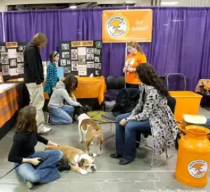 A group of people sitting around with dogs.