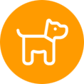 A dog is standing in the middle of an orange circle.